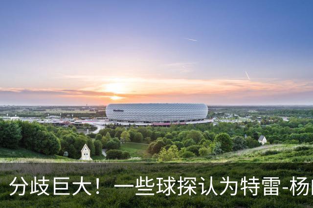 分歧巨大！一些球探认为特雷-杨的存在阻碍了状元郎在奇才的发展