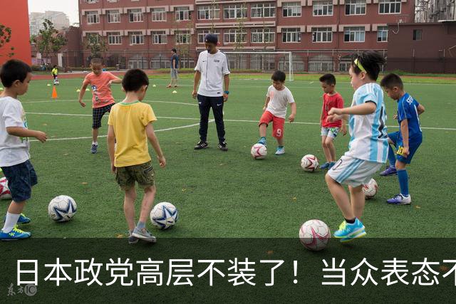 日本政党高层不装了！当众表态不支持“台独”，大陆反手发出通知