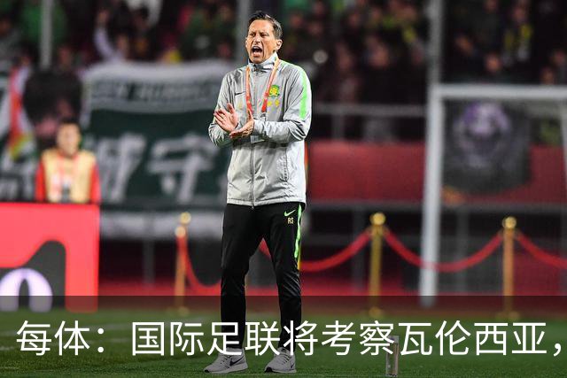 每体：国际足联将考察瓦伦西亚，2030世界杯申办迎转机